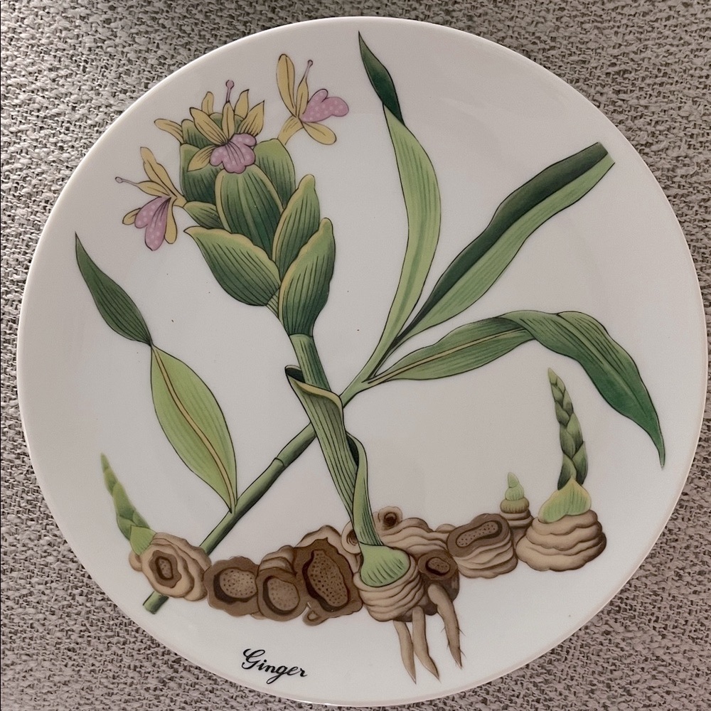 2 VTG Horchow Botanical Herb seed salad plates Ginger flower bulb 7.5 “Japan